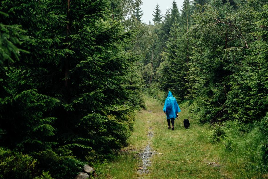 Hiking in Wet Weather Without Ruining Your Day