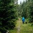 popular-post