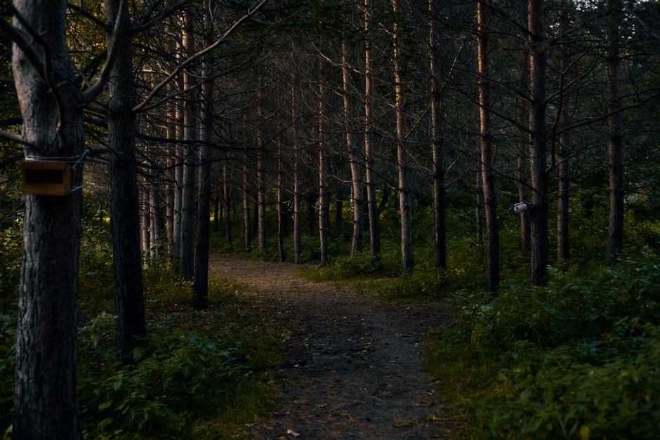 How to Find Solitude on Popular Trails