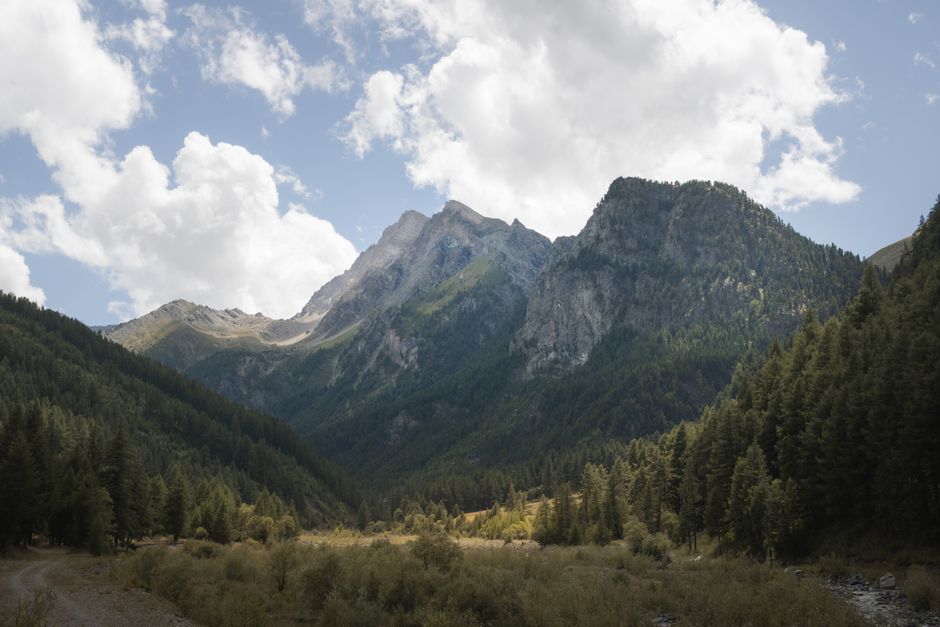 Leave No Trace: Small Habits That Make a Big Difference